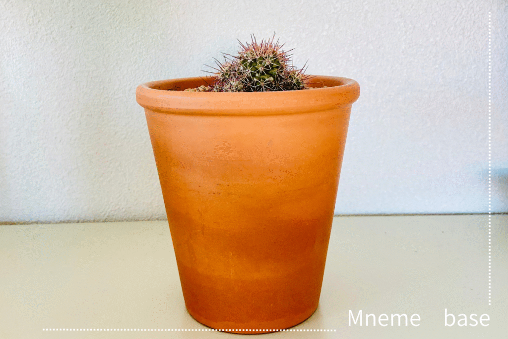 茶色い鉢に植えてある小さなサボテンの画像