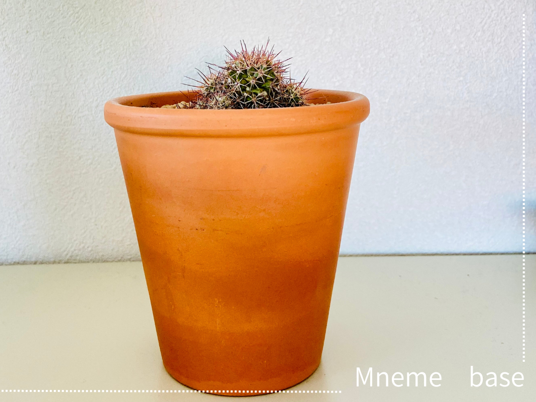 明るい茶色の鉢植えに小さいサボテンがある画像