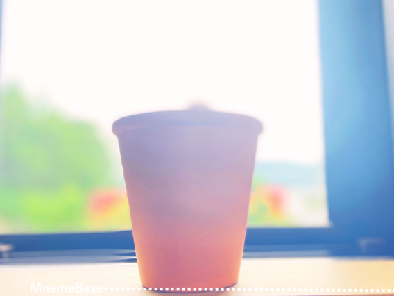 窓際にサボテンの鉢植えが置いてある画像