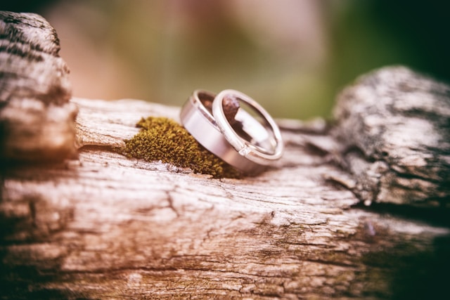 木の上に結婚指輪が二つ重なって置いてある画像