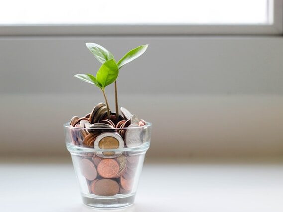 コインが入ったガラスの器に植物が生えている画像