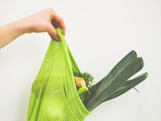 野菜が入ったメッシュのバッグを片手でつかんでいる画像
