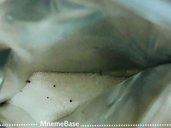 パウチに入っている塩の画像