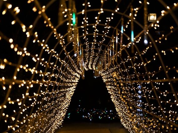 電飾が光っている画像