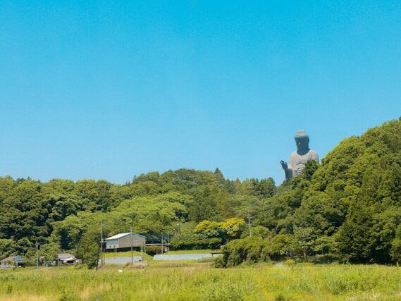 山から大仏が見えている画像