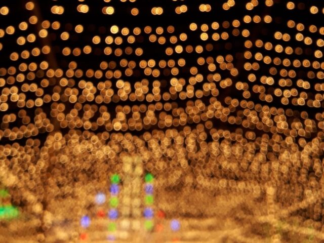 イルミネーションの画像