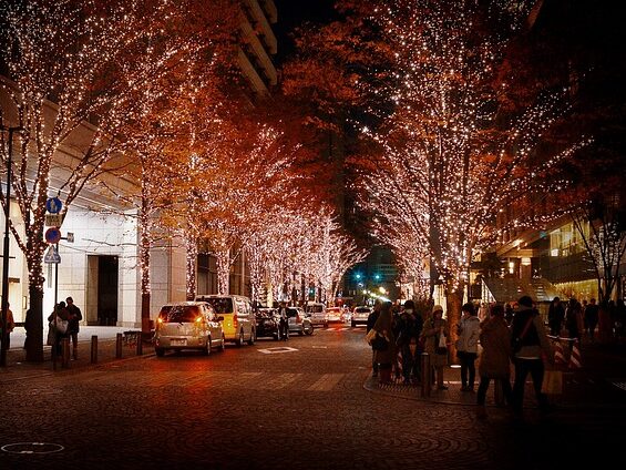 イルミネーションの画像