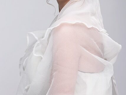 シフォン素材の服を着た女性の画像