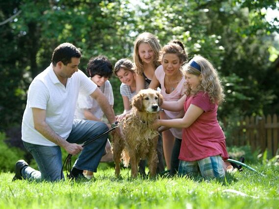 6人の家族が外で犬を洗っている画像